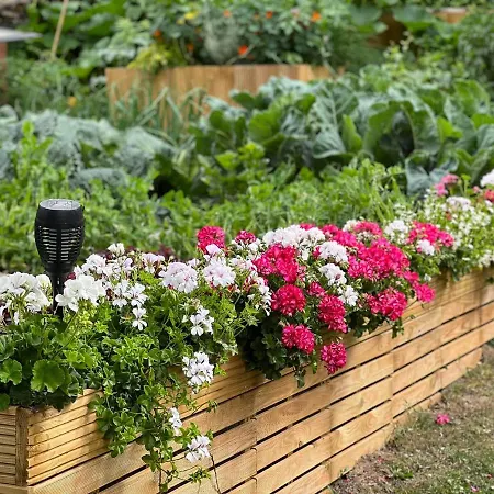 Le Clos Fleuri Pensión