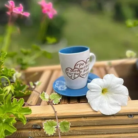 Le Clos Fleuri Pensión Fauvillers