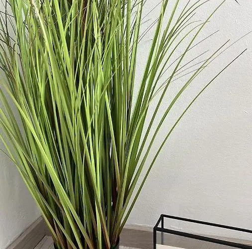 Le Clos Fleuri Gasthof 4*