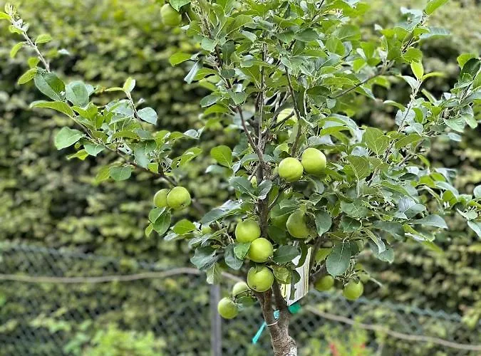 Gasthof Le Clos Fleuri Fauvillers