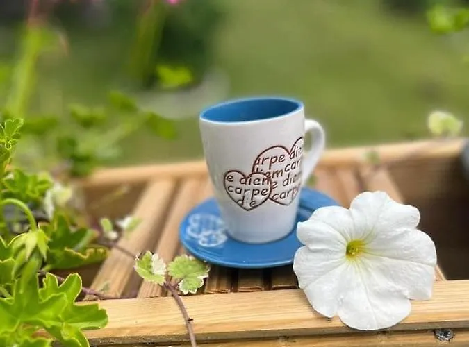 Le Clos Fleuri Gasthof Fauvillers